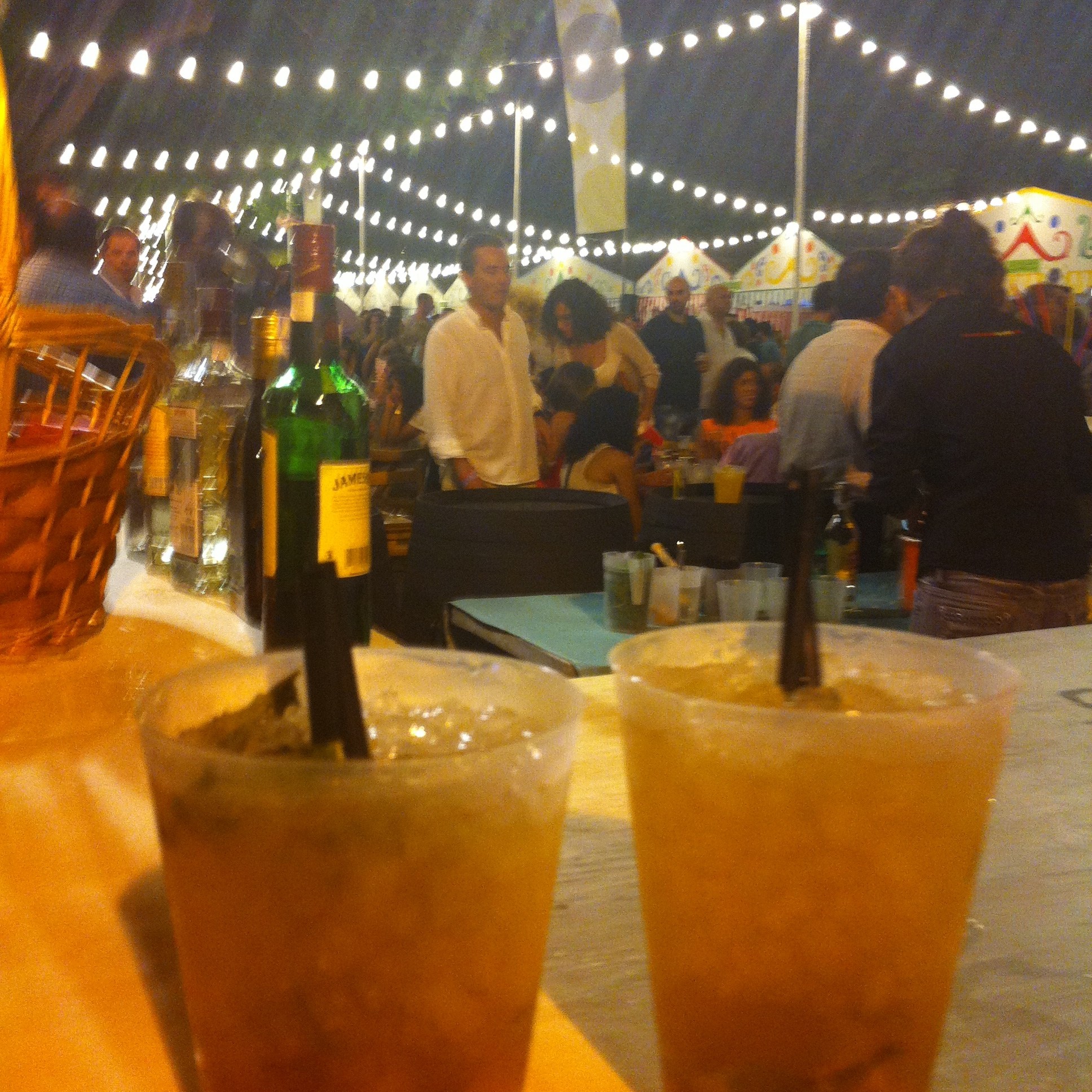 Las dos hermanas, Kim en Wendy, Spaanse taalreis, Taalreis, Spanje, Andalusië, rondreis Andalusië, Andalucia, Praat Spaans met me, Vendimia, Jerez de la Frontera